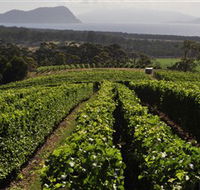 Bream Creek Vineyard - SA Accommodation
