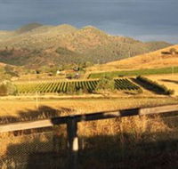 Optimiste Wines - SA Accommodation