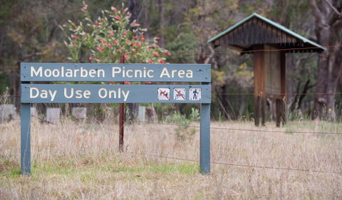 Moolarben Picnic Area - SA Accommodation 1