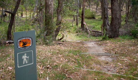 Moolarben Picnic Area - SA Accommodation 0
