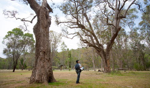 Moolarben Picnic Area - SA Accommodation 2