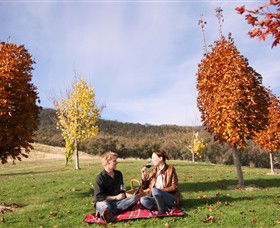 Gapsted Wines - SA Accommodation 5