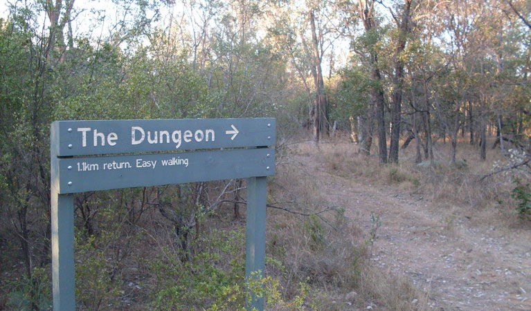 Bonshaw NSW SA Accommodation