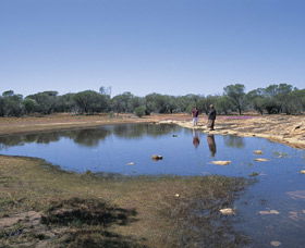 Camel Soak - SA Accommodation 0