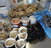 Advance Mussel Supply - SA Accommodation
