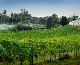 Kellybrook Winery, Kelly Brothers Cider & Riders Brew Co. - SA Accommodation 1