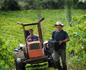 Kellybrook Winery, Kelly Brothers Cider & Riders Brew Co. - SA Accommodation 0