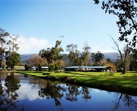 Buxton Trout & Salmon Farm - SA Accommodation 0