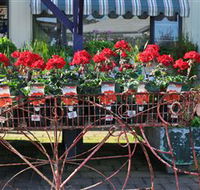 Van Loon's Nursery - SA Accommodation