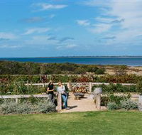 Kiltynane Wines - SA Accommodation