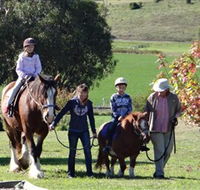 Bathurst Farm Experience - SA Accommodation