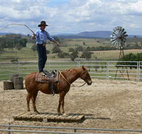 Boggy Creek Shows - SA Accommodation