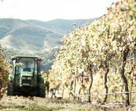 Logan Wines - SA Accommodation 5