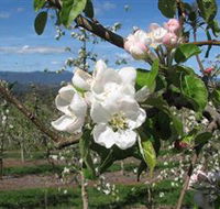 Mouat's Farm - SA Accommodation