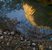 Abercrombie Karst Conservation Reserve - SA Accommodation