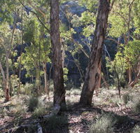 Mount Gray walking track - SA Accommodation