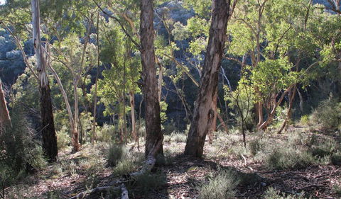 Mount Gray Walking Track - SA Accommodation 0