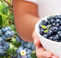 Jolly Berries - SA Accommodation