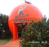 Gayndahs Big Orange - SA Accommodation