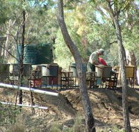 7 Oaks Sapphire Fossicking - SA Accommodation