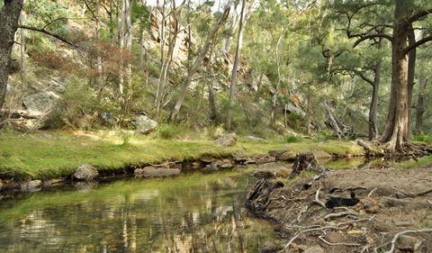 Capertee National Park - SA Accommodation 0