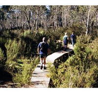 Hume and Hovell Walking Track - Henry Angel Trackhead - SA Accommodation
