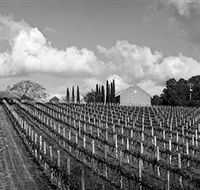 Willow Creek Vineyard - SA Accommodation