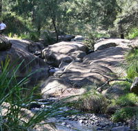 Towarri National Park - SA Accommodation