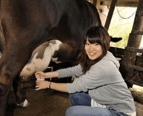 Warrook Farm - SA Accommodation 2