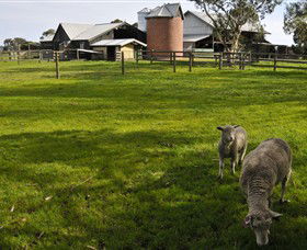 Warrook Farm - SA Accommodation 4