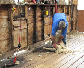 Warrook Farm - SA Accommodation 3