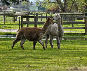 Warrook Farm - SA Accommodation 6