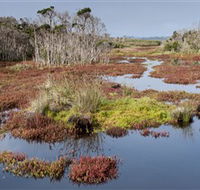 French Island National Park - SA Accommodation