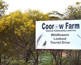 Coorow Farm Wildflower Trail - SA Accommodation 0