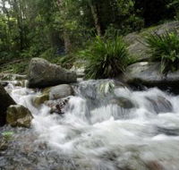 Washpool National Park - SA Accommodation