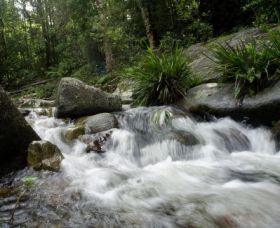 Washpool National Park - SA Accommodation 0