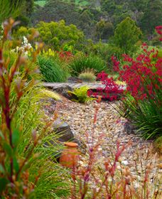 Ungulla Country Garden - SA Accommodation 1