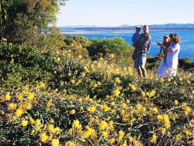 Joseph Banks Conservation Park - SA Accommodation 0