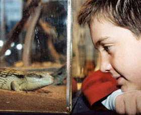 Canberra Reptile Zoo - SA Accommodation 0