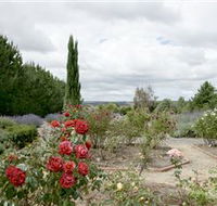 Crystal Brook Lavender Farm - SA Accommodation