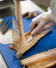 Arc-en-Ciel Trout Farm - SA Accommodation 2