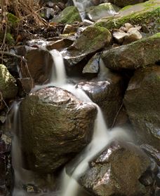 Arc-en-Ciel Trout Farm - SA Accommodation 1