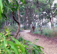 Mount Mutton Walking Trail - SA Accommodation