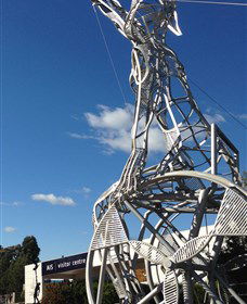 Australian Institute Of Sport (AIS) - SA Accommodation 0
