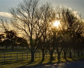 Inland Waters Holiday Parks Lake Glenbawn - SA Accommodation 4
