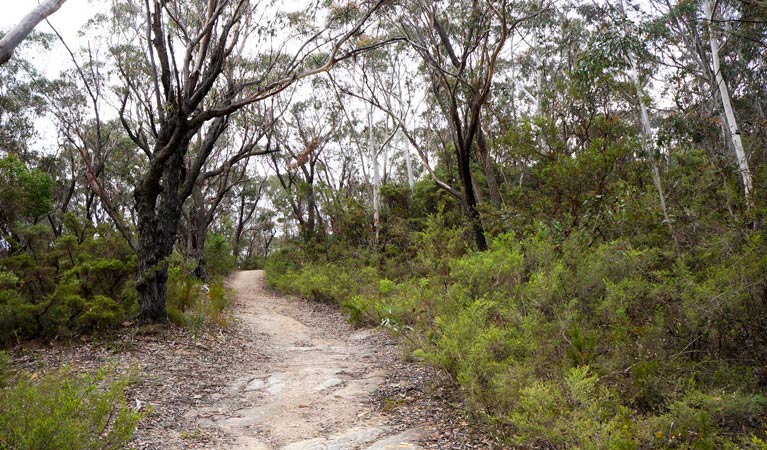 Ganbenang NSW SA Accommodation