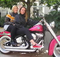 Wild Ride Harley and Motorcycle Tours - SA Accommodation