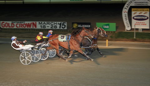 Bathurst Harness Racing Club - SA Accommodation 3