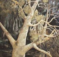 Ku-Ring-Gai Art Centre  Gallery - SA Accommodation