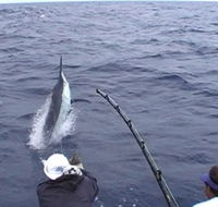 Amokura Charters - SA Accommodation